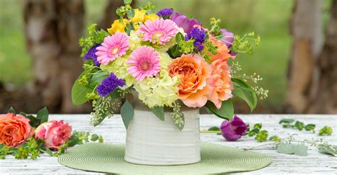 Viviano florist - If you buy flowers before 10:00 a.m. (Mon - Sat) in your recipient’s time zone, you can get same-day delivery for your order. In addition to our retail locations, Viviano Flower Shop is available to you by telephone at (800) VIVIANO (848-4266), or 24/7 (twenty-four hours a day) through online ordering.